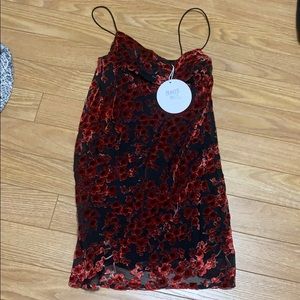NWT princess Polly dress